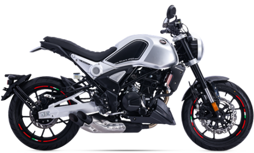 Regal Raptor Shark 250 Lastik